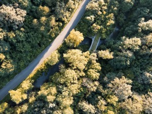 Last image captured automatically during the uncontrolled descent — the wooded valley with road, seen from the UAS